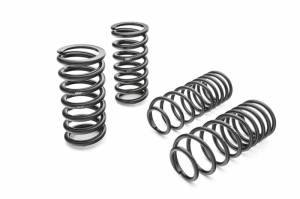 PRO-KIT Performance Springs (Set of 4 Springs) - 3801.140