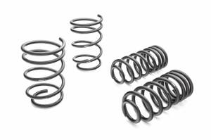 PRO-KIT Performance Springs (Set of 4 Springs) - 38137.140