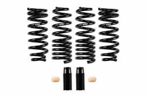 PRO-KIT Performance Springs (Set of 4 Springs) - 38141.140