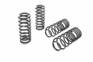 PRO-KIT Performance Springs (Set of 4 Springs) - 3870.140