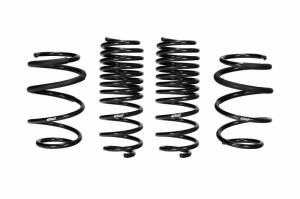 PRO-KIT Performance Springs (Set of 4 Springs) - E10-40-043-02-22